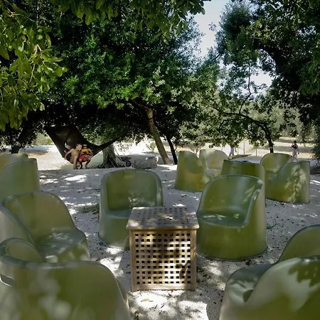 Masseria Le Macine * פסקיצ'י