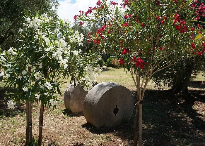 팜스테이 Masseria Le Macine