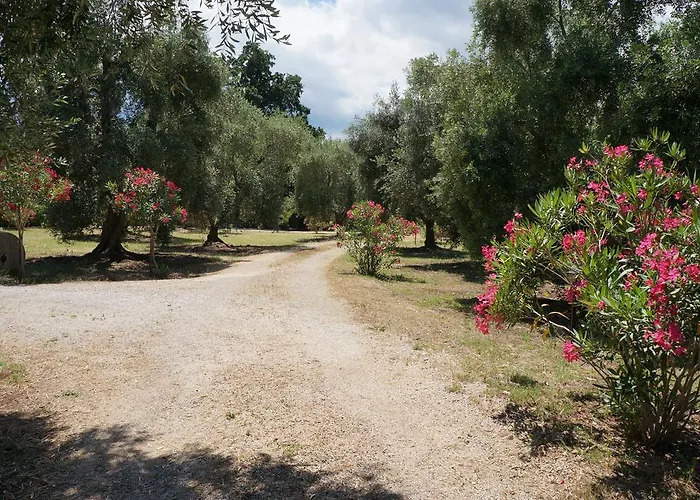 בית חווה Masseria Le Macine פסקיצ'י